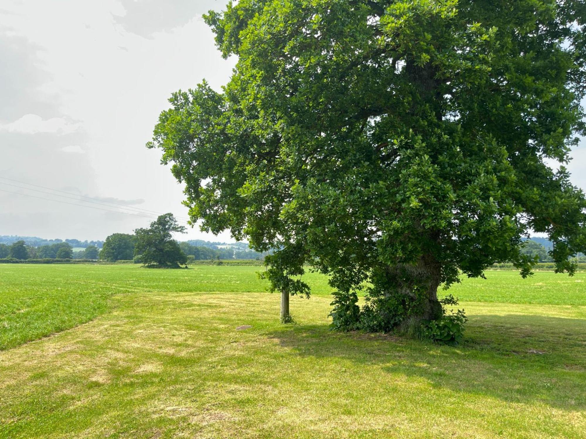 Pass The Keys Hare Cottage Wonderful Views And Parking Moreton-in-Marsh Kültér fotó